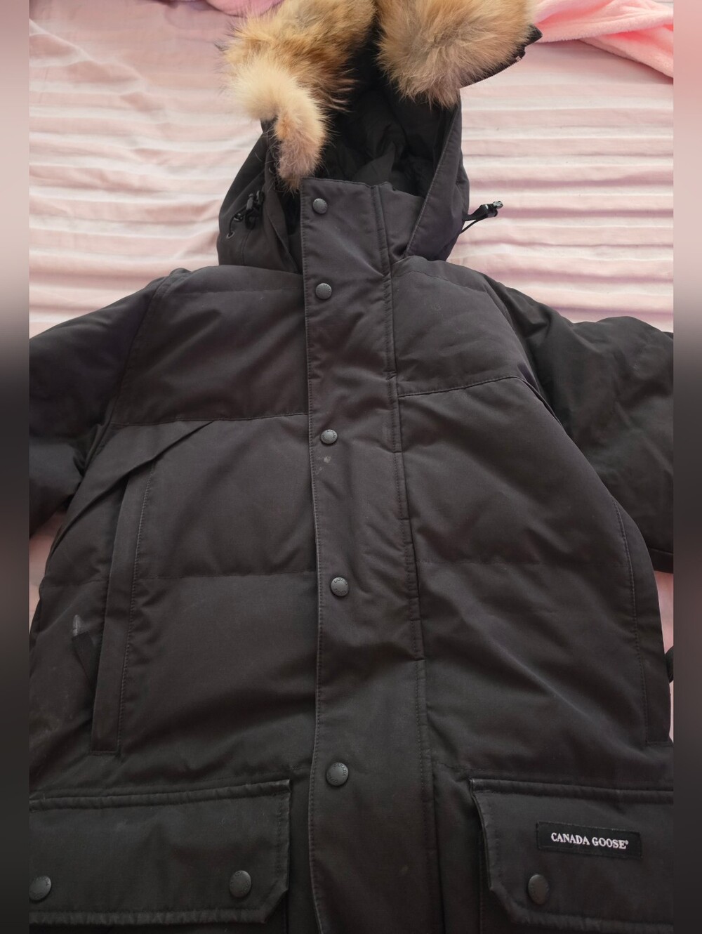 Canada Goose Jacket | MEDIUM